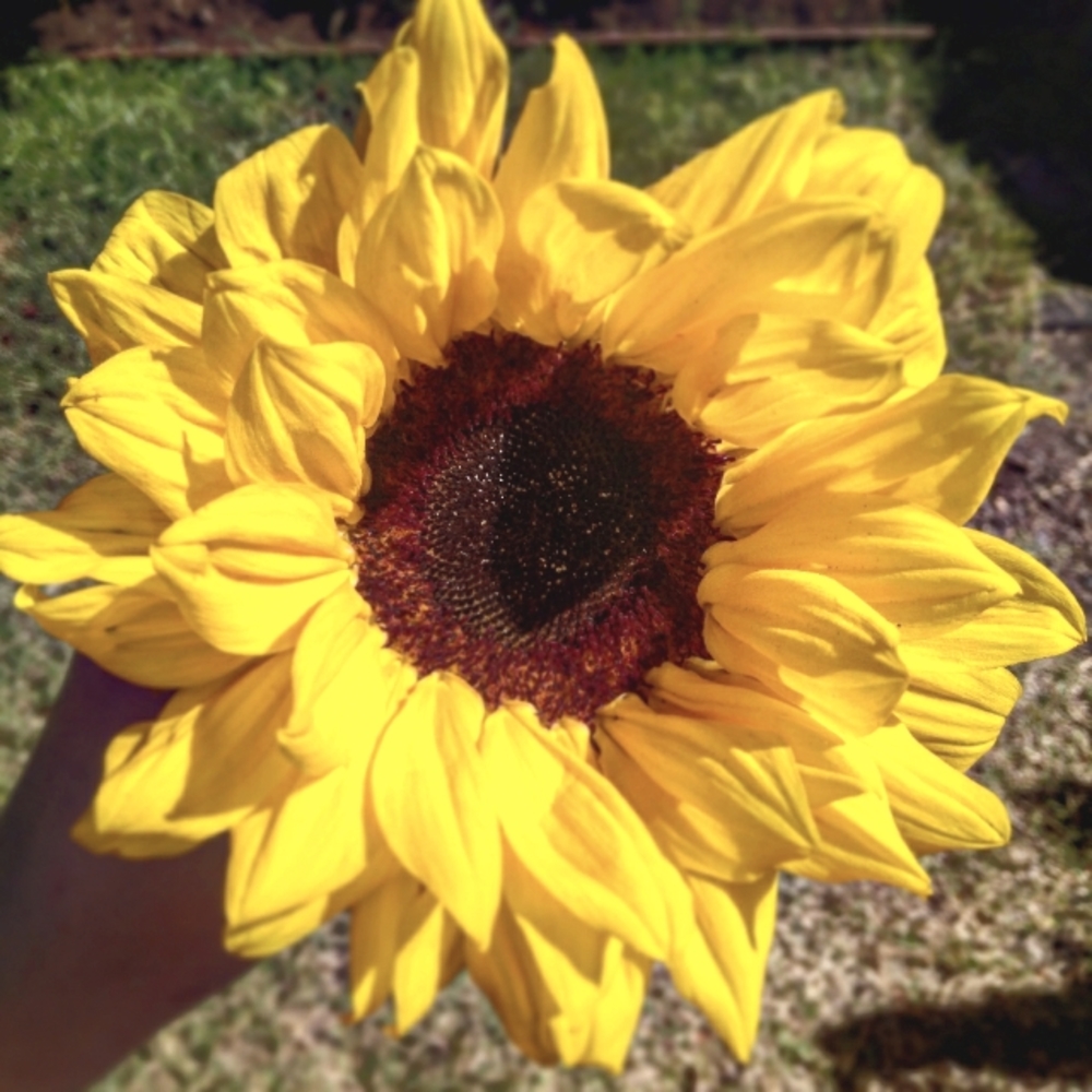 Meet your Posher, Ang